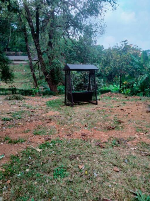 A Quaint Cottage With Rajah'S Seat View. Madikeri Zewnętrze zdjęcie